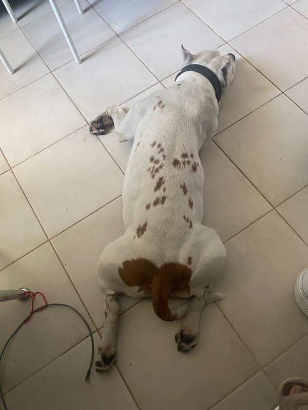 9F761176-5CBC-4B83-96A3-E2C609D644BC