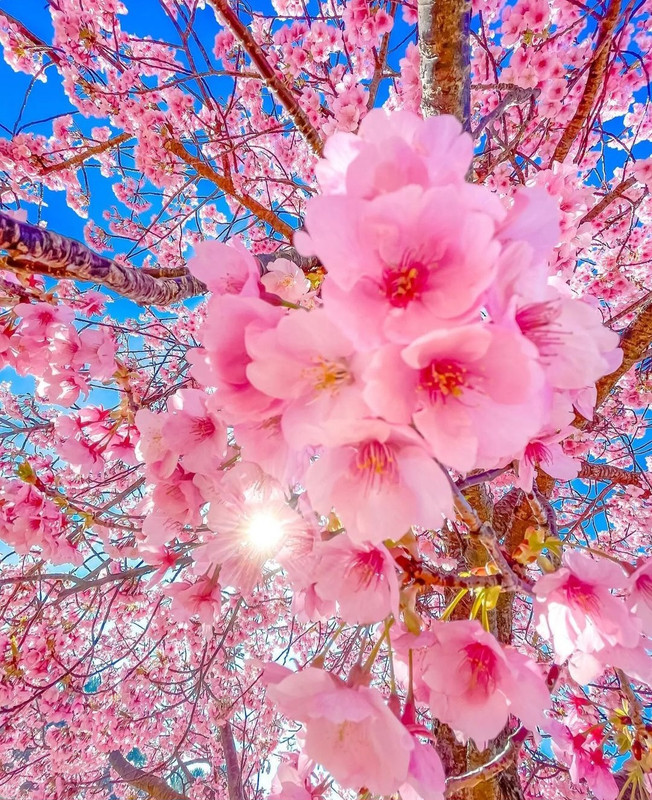 Screenshot_20240420_213009_Threads