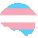 transgender