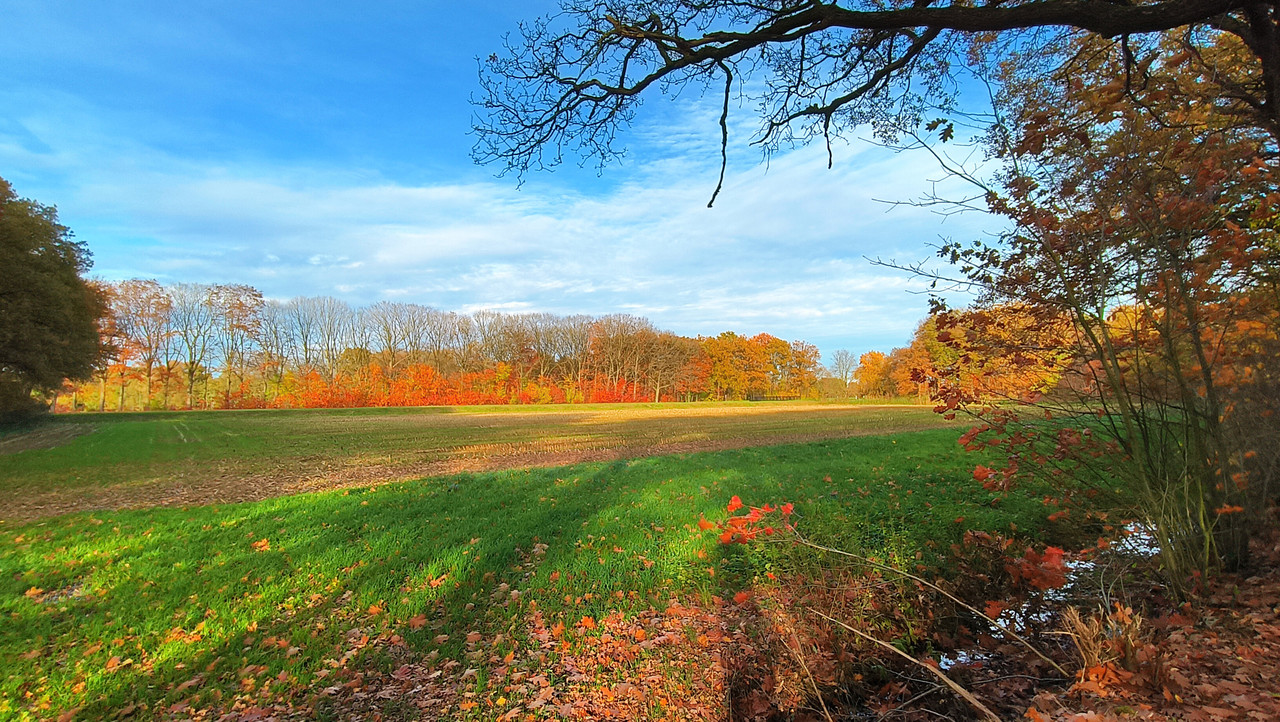 Lumii 20251104 151236335