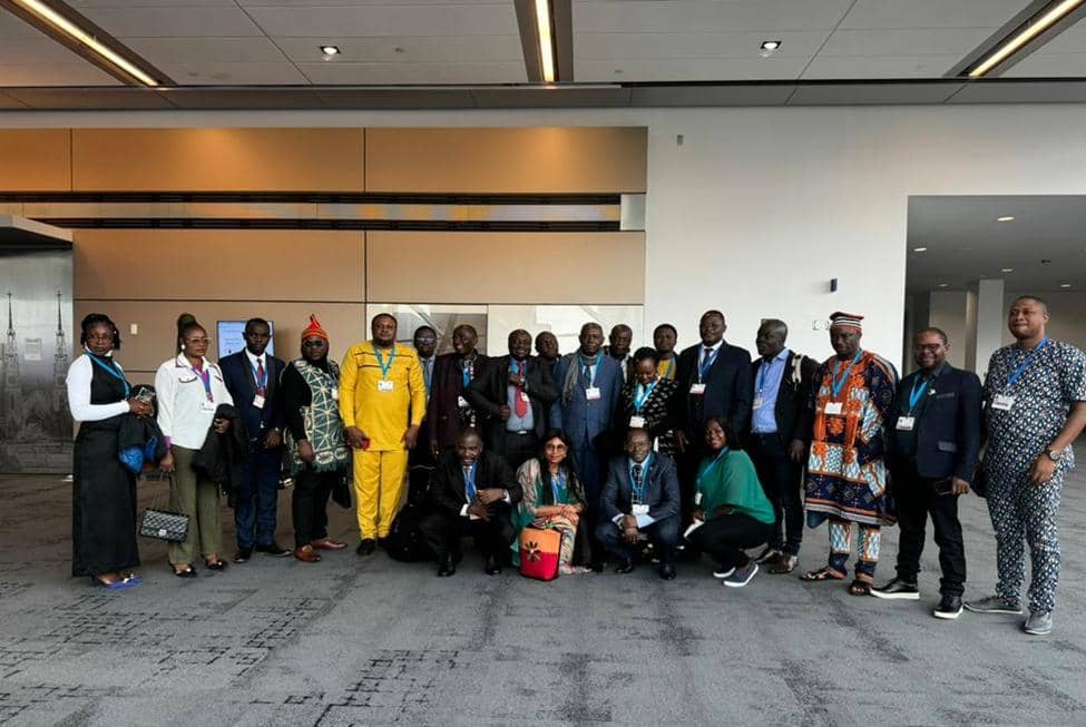 African delegates and focal points