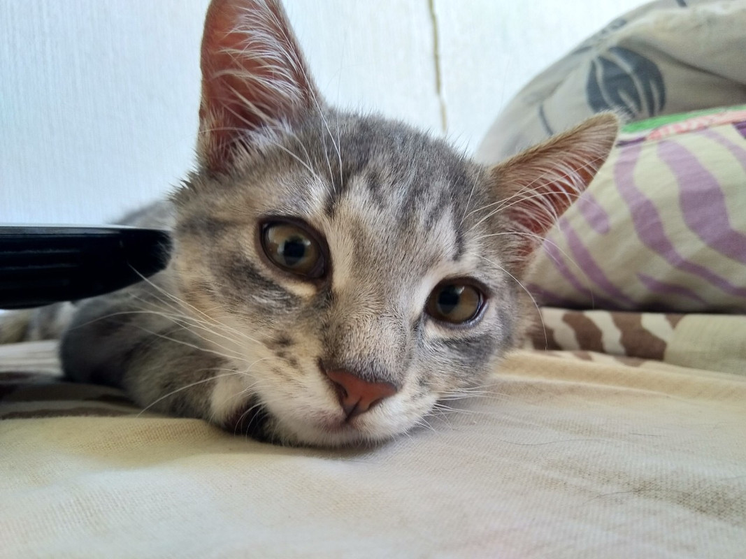 339AA6AB-D263-4519-BB4E-934B71569999