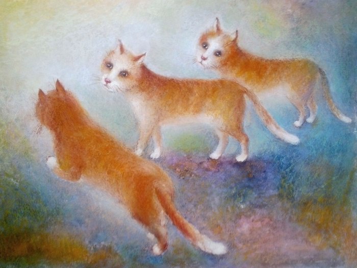 07