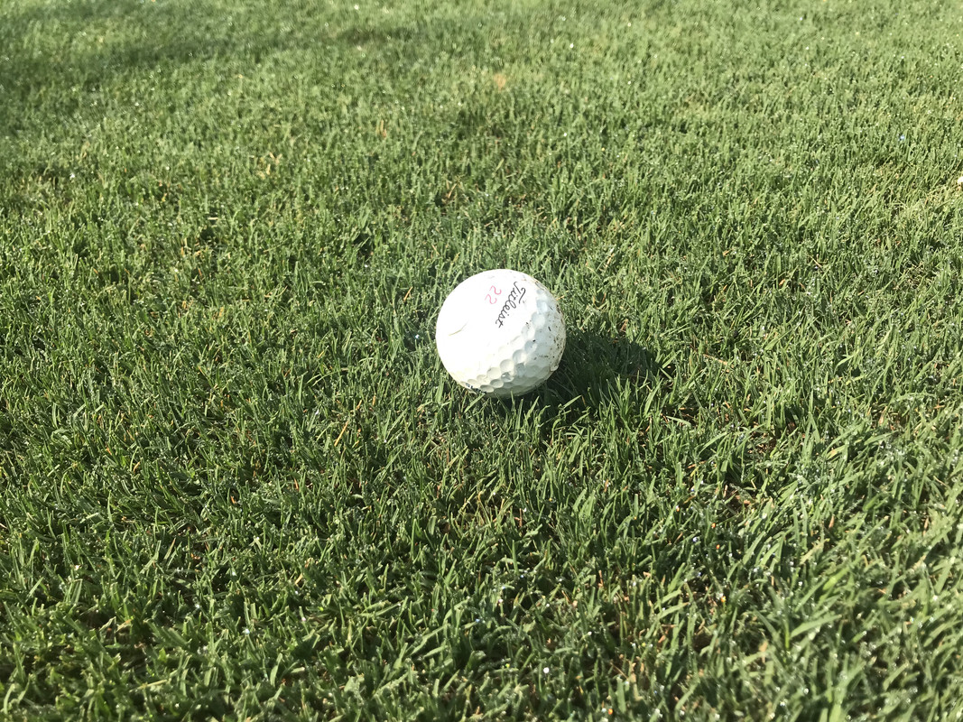 FCFB424D-9B63-4000-858B-8C32A784B120