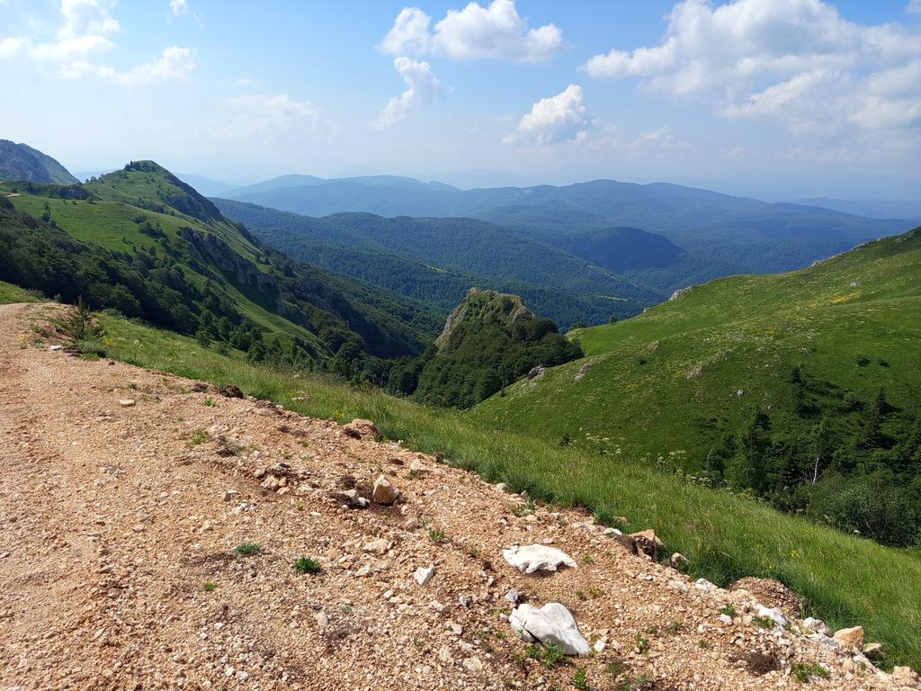 IMG-20260622-094804.jpg