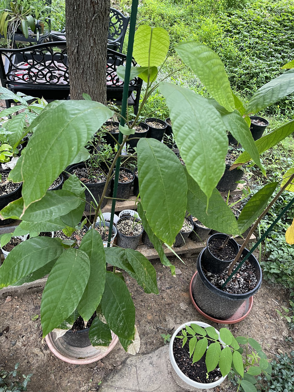 BEB76FF9-EC81-4467-A0AB-B54AC77DEE07