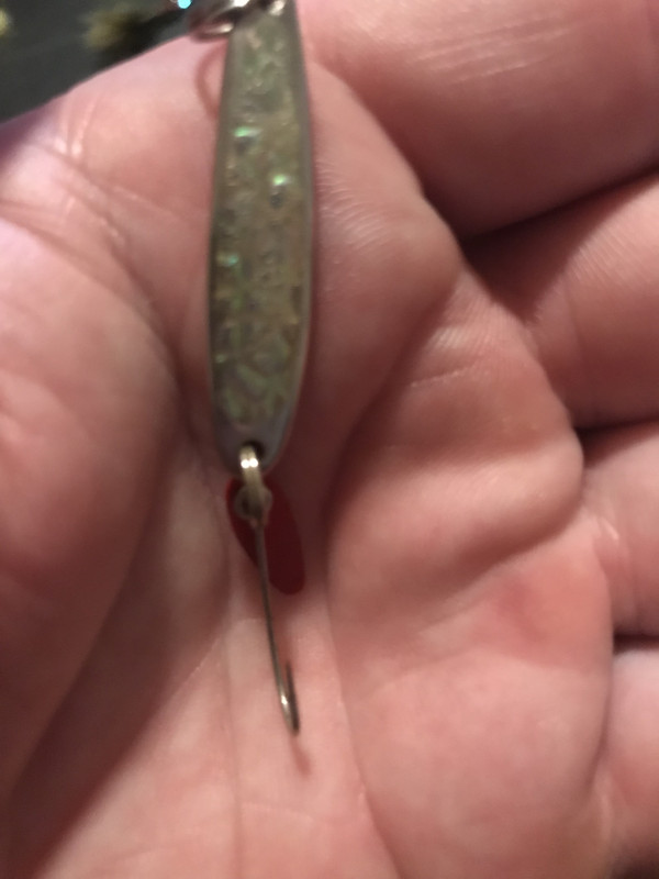 35B2C7E9-431B-4383-9303-630FA817E3D1