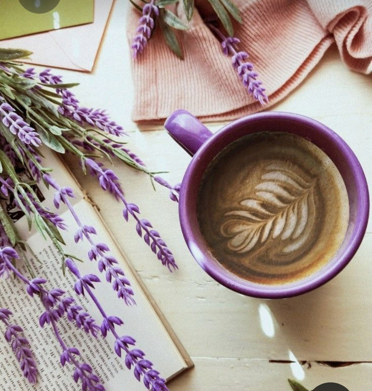 Screenshot_20230408_003556_Pinterest