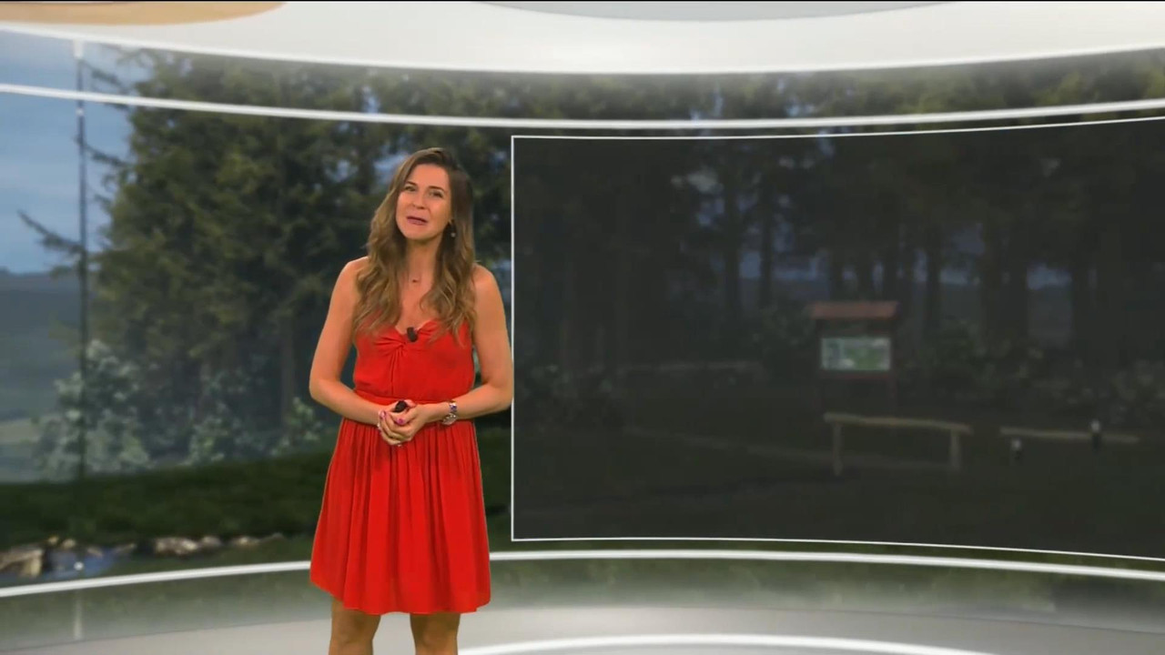 Daniela Prepeliuc 060921.mp4_snapshot_00.24_[2021.09.06_18.52.40]