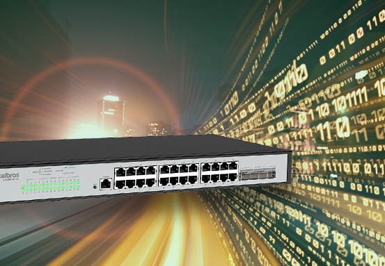 Detalhe do Switch S3028G-B Lite, mostrando as opções de roteamento dinâmico.