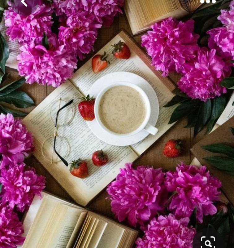 Screenshot_20230528_212029_Pinterest