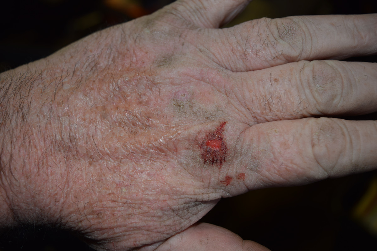 5C233C75-D1EE-4F97-9701-E0446DD2E682