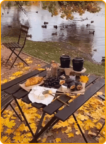 250925-canards-automne