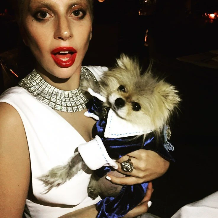 8-15-15-Instagram-001.webp