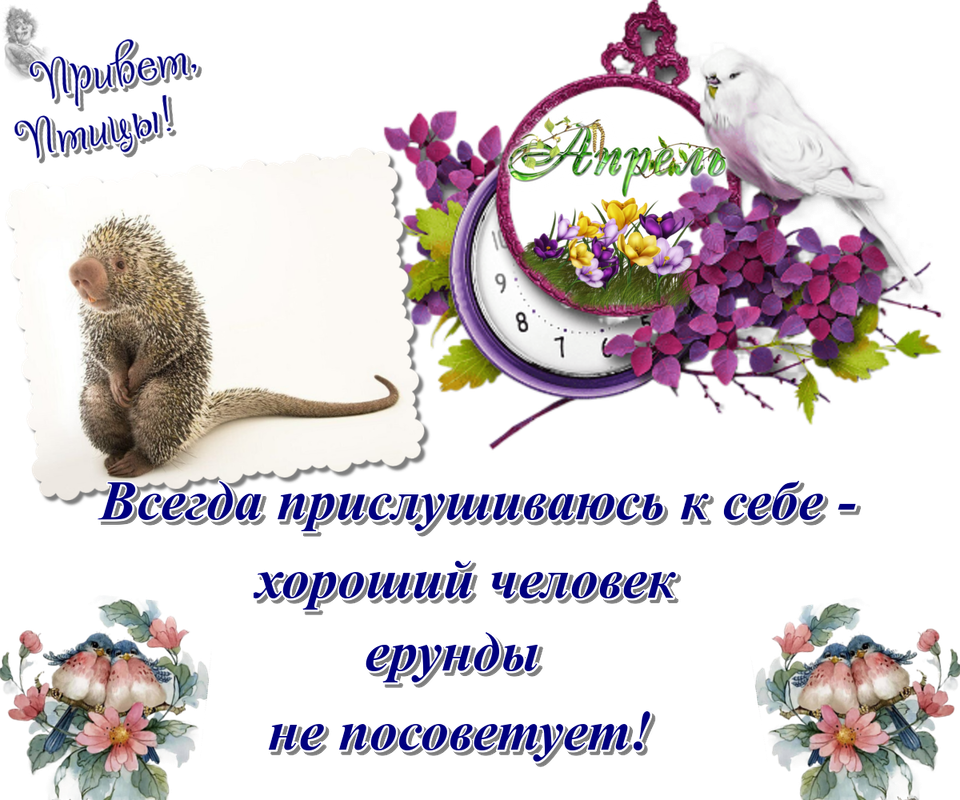 https://i.postimg.cc/rmyNG3Zj/28-04.png