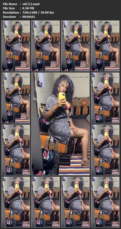 vid (1).mp4