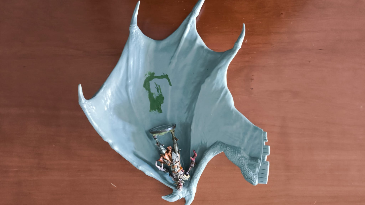 WhatsApp Image 2025-06-01 at 20.14.06(1)