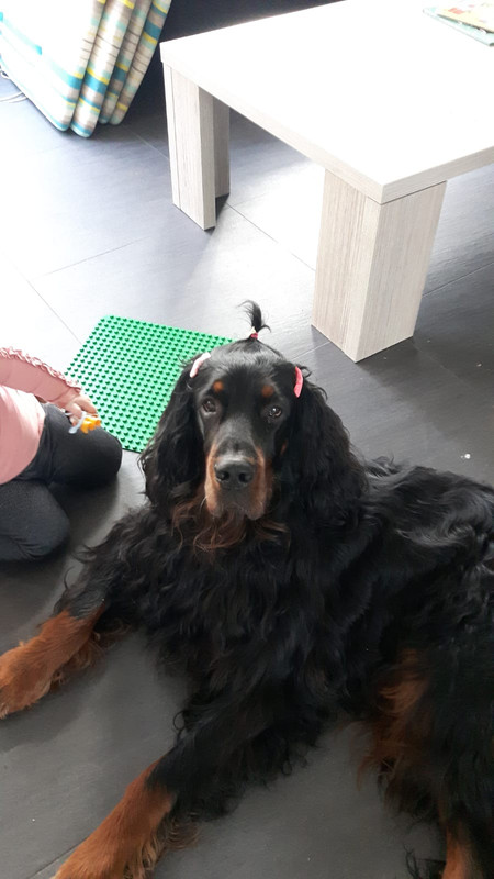 E49A7199-312B-46DB-913D-6C93D5045AE1