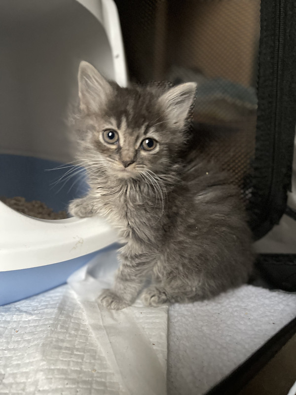 E5913115-3434-404F-B249-B4FD709582AF