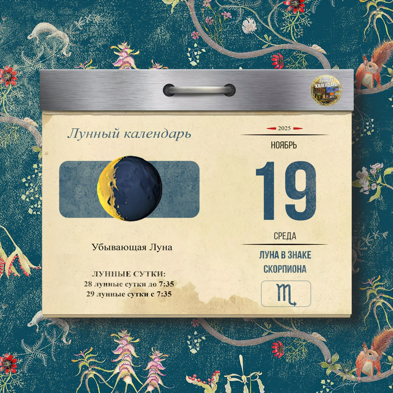 [Изображение: photo-2025-11-18-14-04-38.jpg]