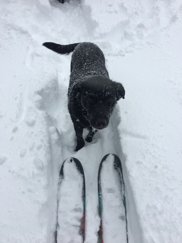 15D199F3-CF97-422B-88D2-1B80AF8EAF8F