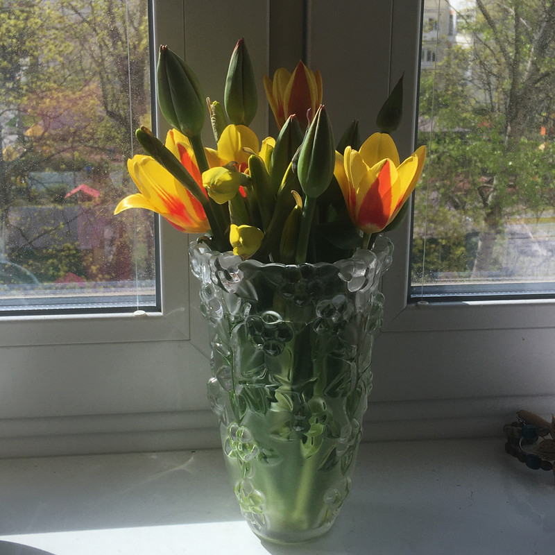 всяко с айфона апрель 024