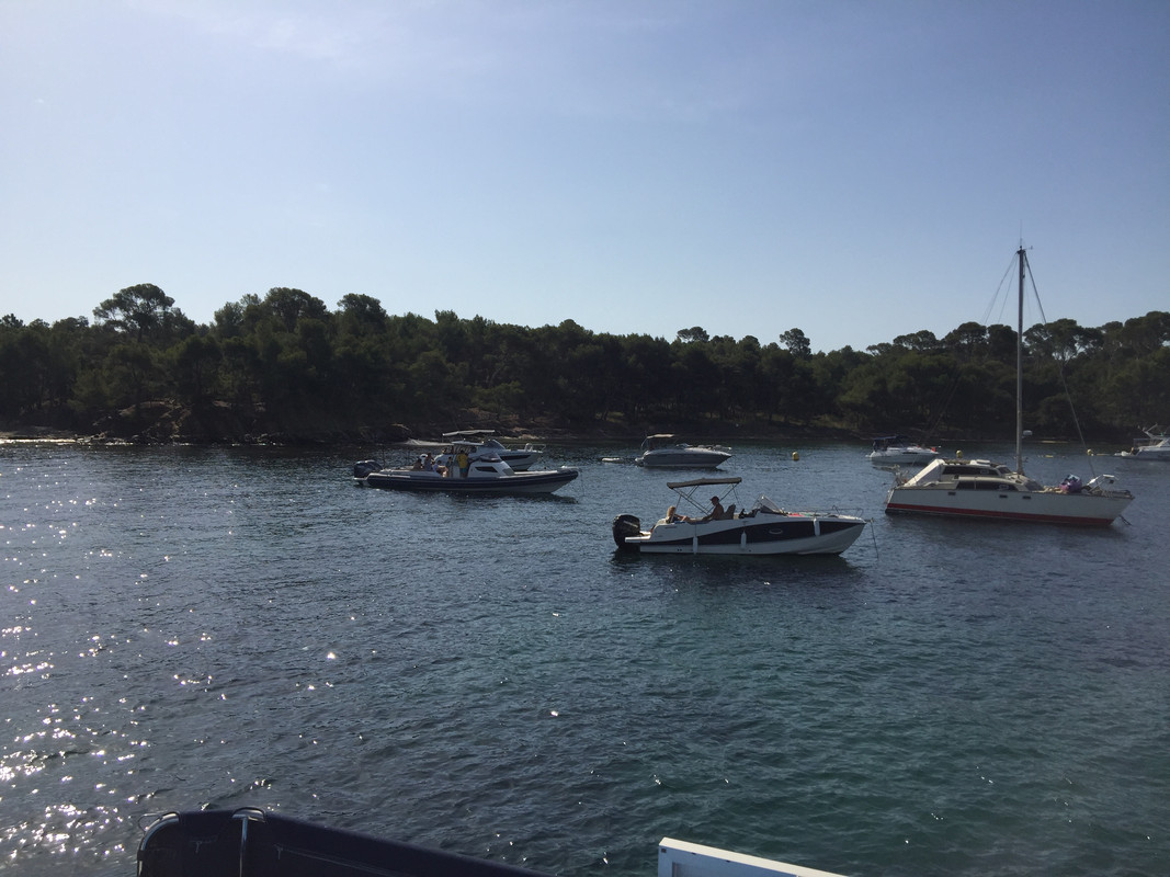 81B660F8-C154-4BE3-8008-47DC7BD293B2