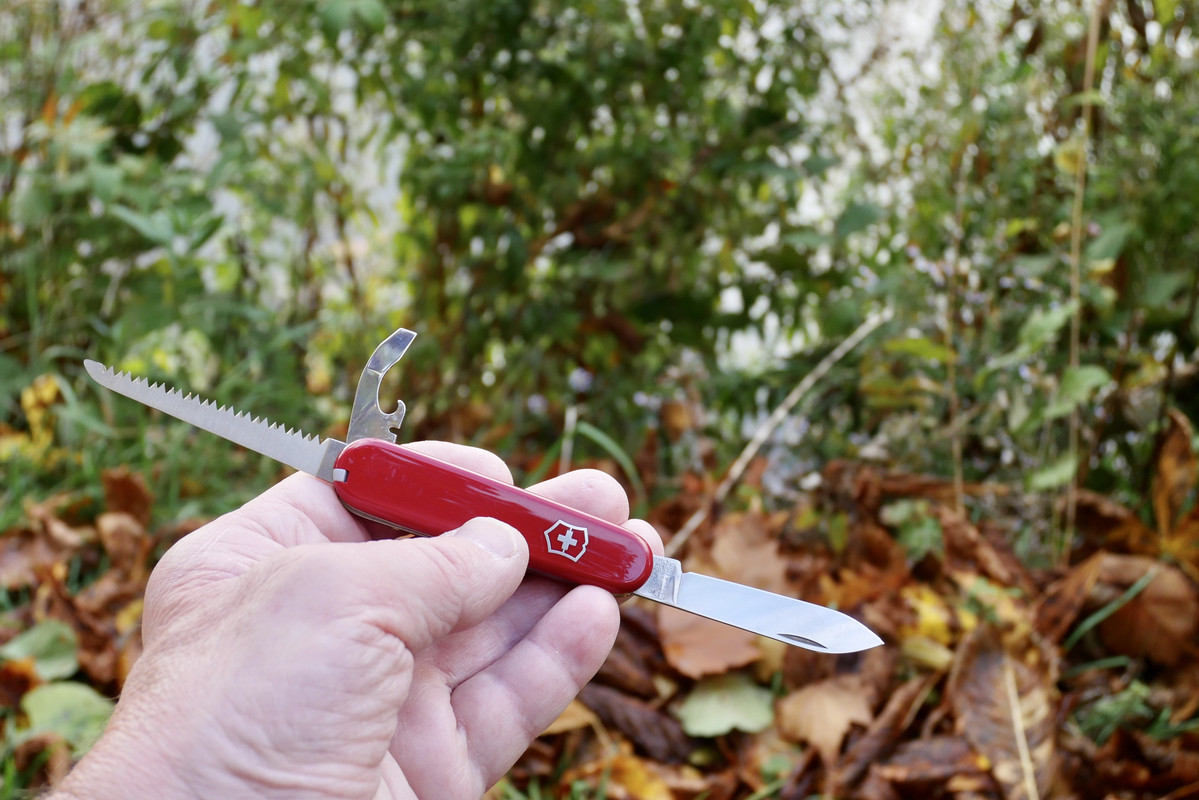 4A6B5846-AACB-489A-9E6A-5CA0D8B22872