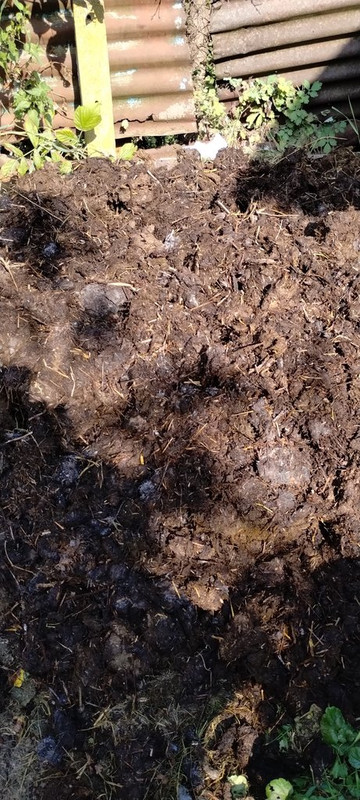 IMG-0da1fddd1c9a9dad57e15feb8b39801b-V