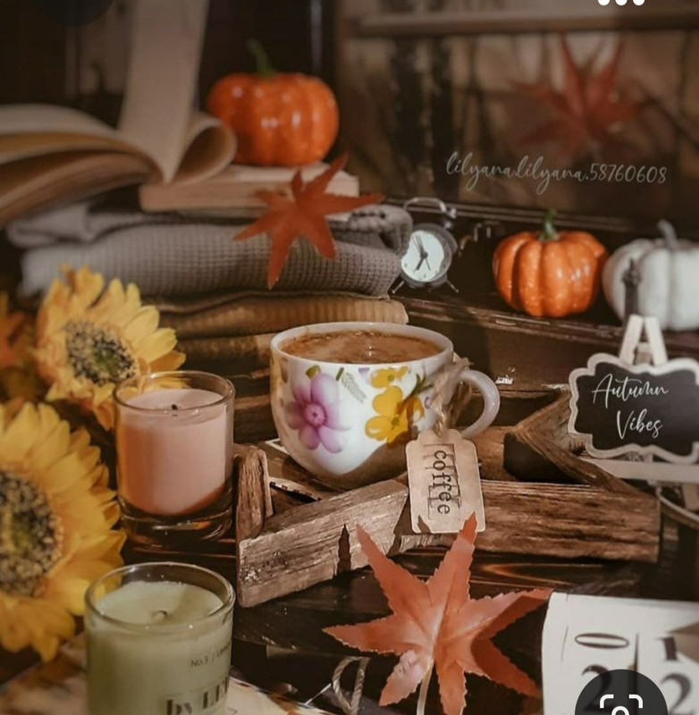 Screenshot_20231008_213240_Pinterest