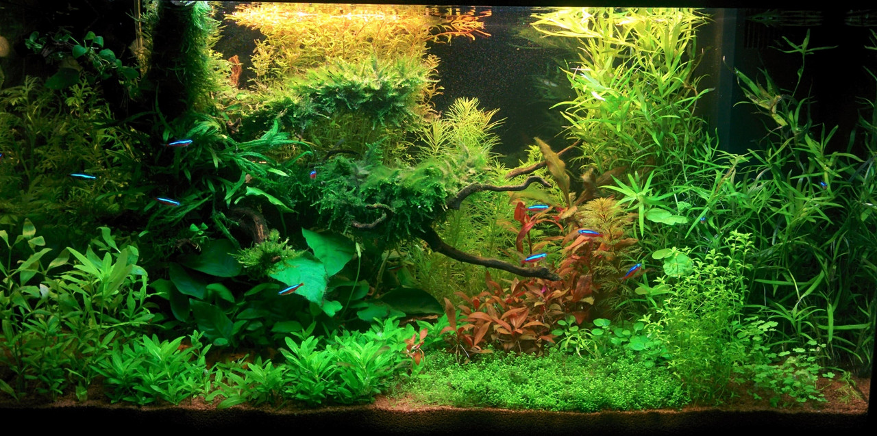 IMG_20170415_224416 (7)