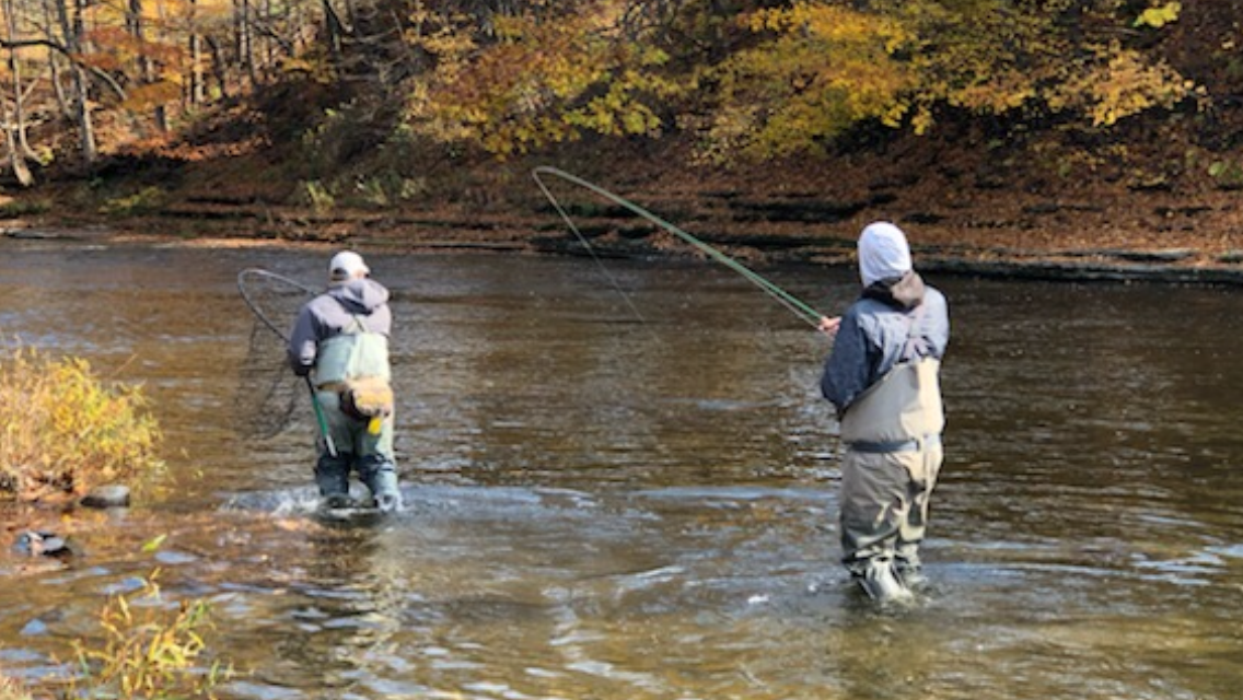 905411FC-7CD6-4E8F-BE13-15BCE0AFC994