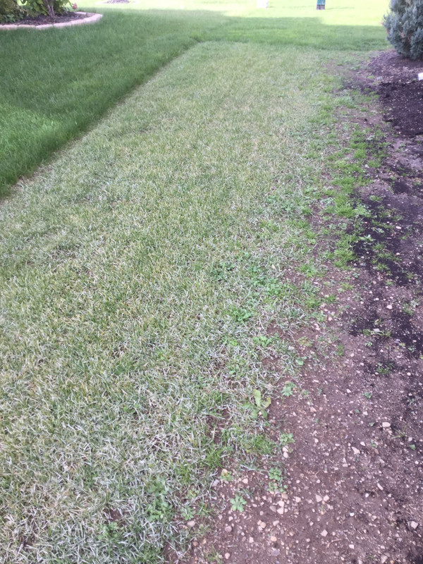 24AB7123-B073-49D6-8CE2-73987C93DBC6