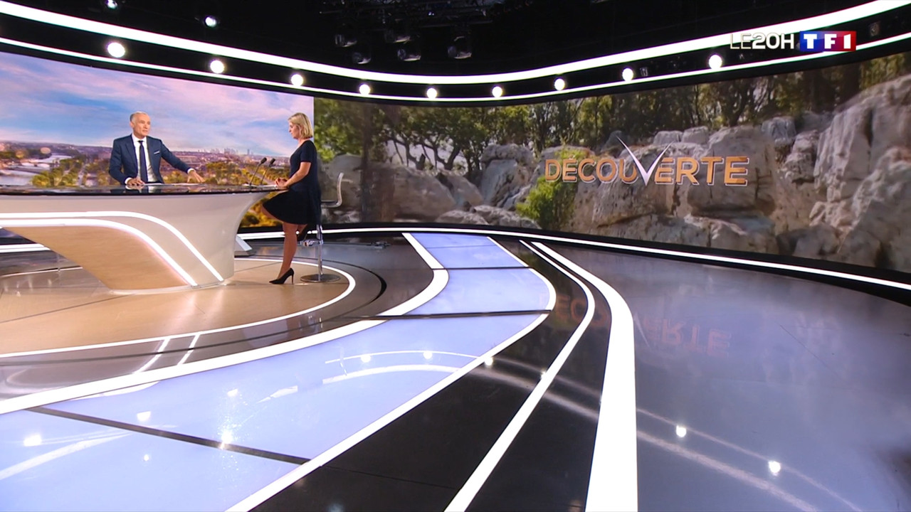 2020-09-21_20_00_TF1_Le-20h.mp4_snapshot_36.20.828