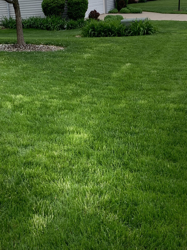 96D7F7EE-430E-4D96-9108-E50FC33F2D3C