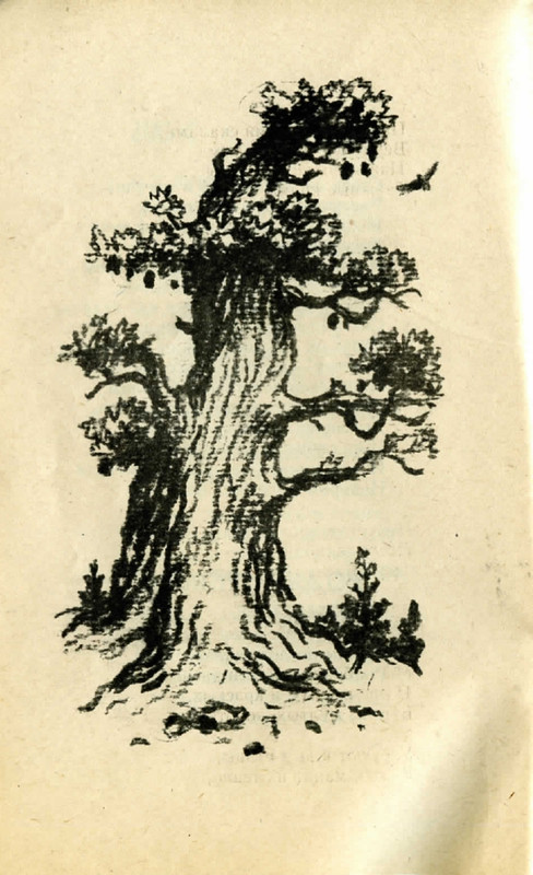 Horinskaja-Jelena-Zhuravushki-page-0009