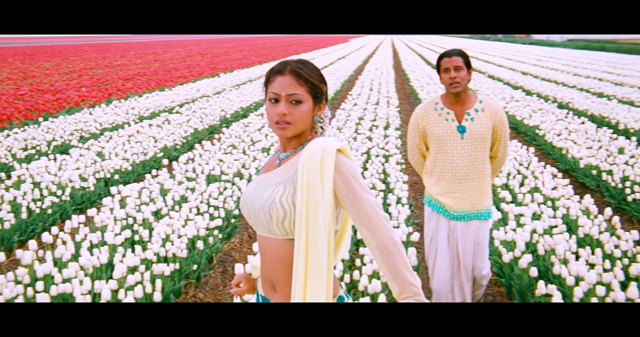 VideoCapture_20241122-195544