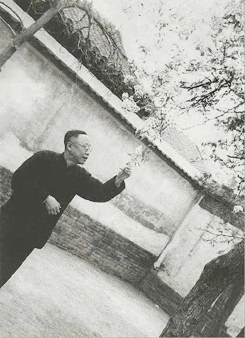 puyi