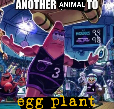 [Image: ANOTHER-ANIMAL-TO-EGG-PLANT.png]