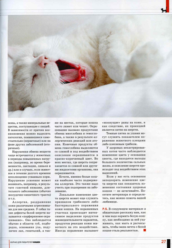 Друг кошек № 6 2010-28