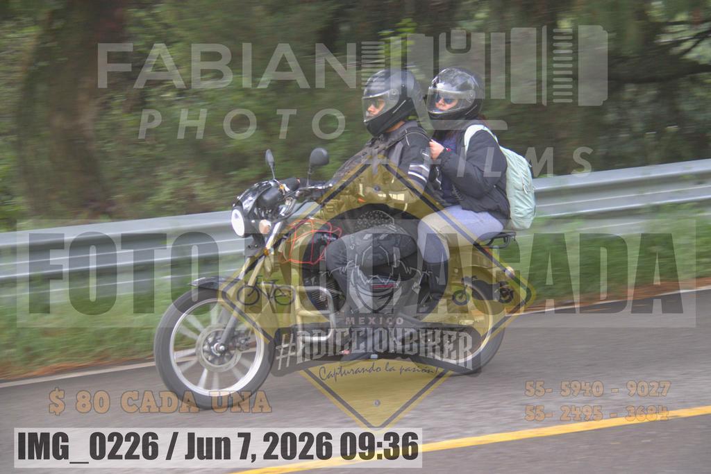 IMG 0226