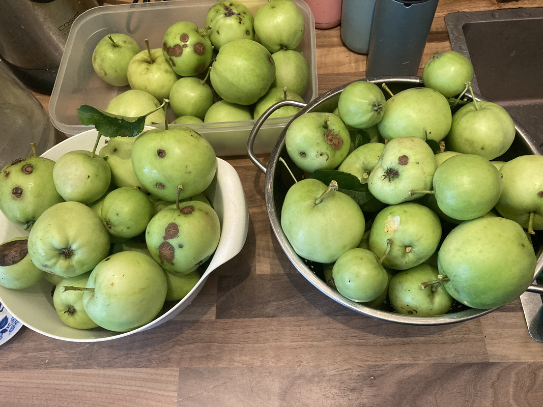 5187105-A-B13-B-4637-9-D3-D-20-C49-C451-EA6.jpg.z