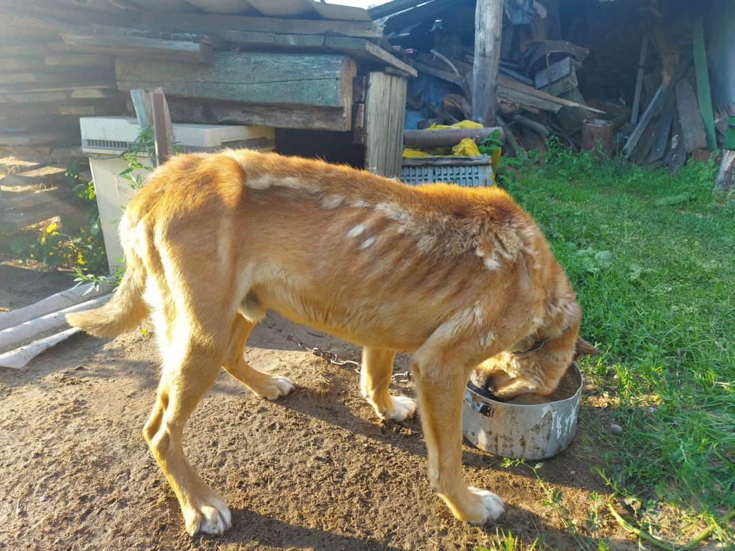 3203C71A-0C15-4FBE-8E0B-E384382AC990