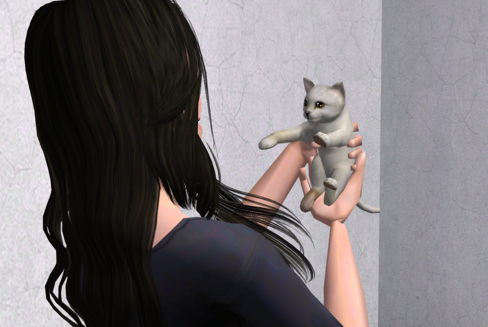 Sims2-EP9-RPC-2021-06-29-20-21-15-83