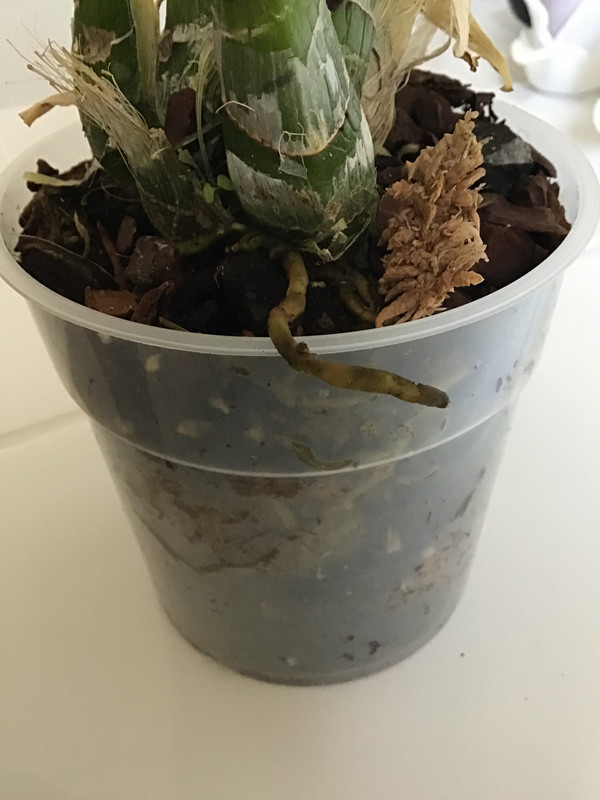 912E48DB-150B-4082-BDAA-8A02C8E2D18B