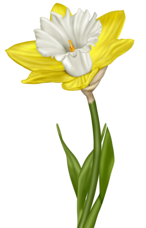 0_1c0afe_8831444d_orig