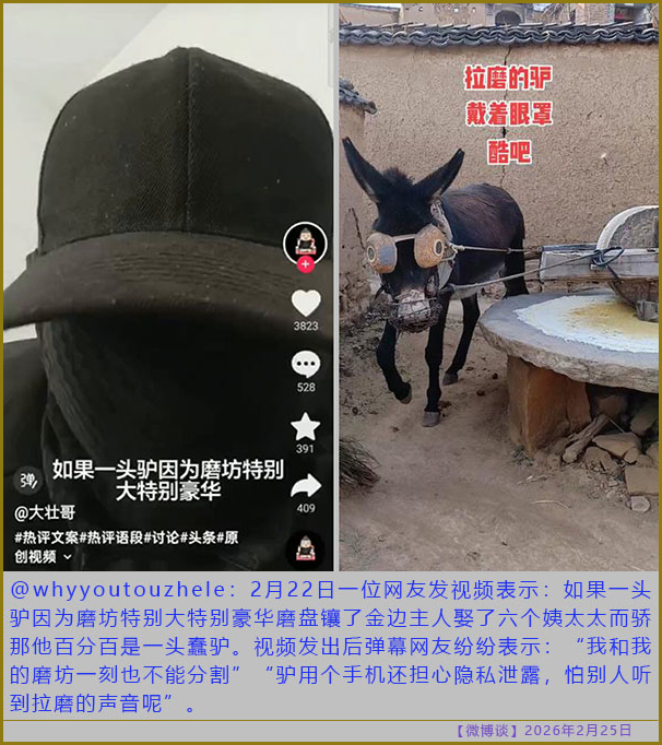 https://i.postimg.cc/rp2GFVrw/20260225-bt-(7).jpg