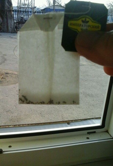 19 людей, у которых явно был день хуже, чем у тебя