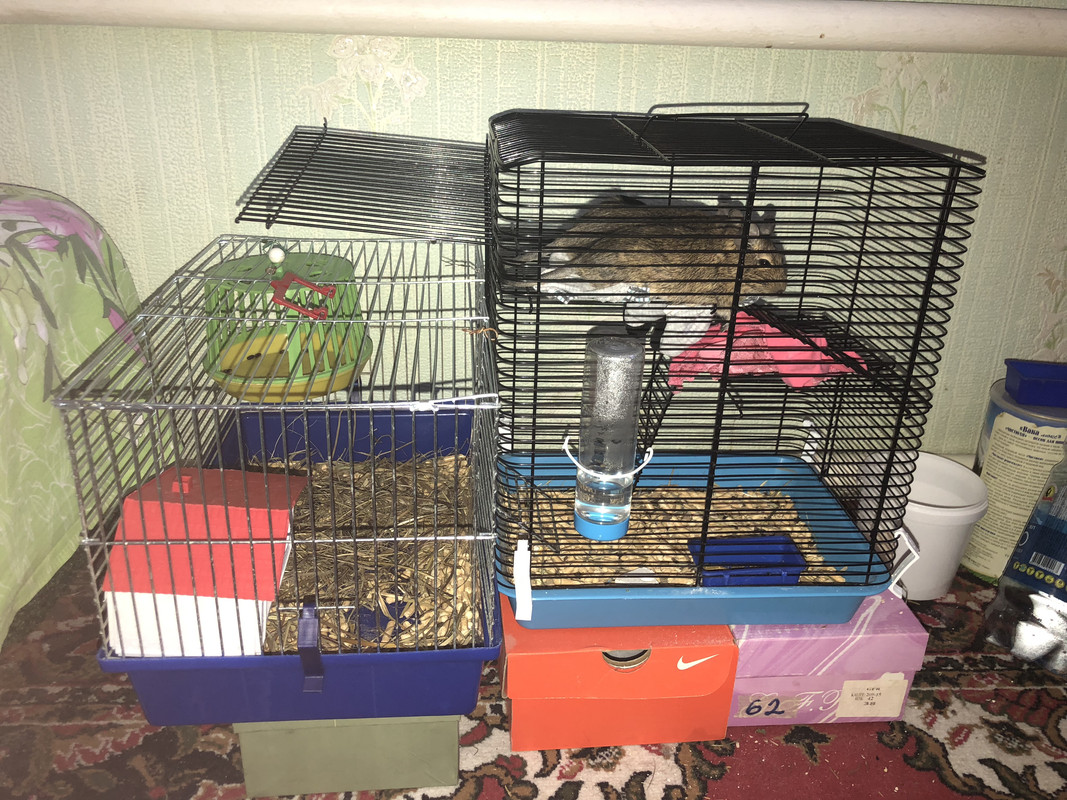 23272B4A-53B4-4526-9C26-09E125A13E95