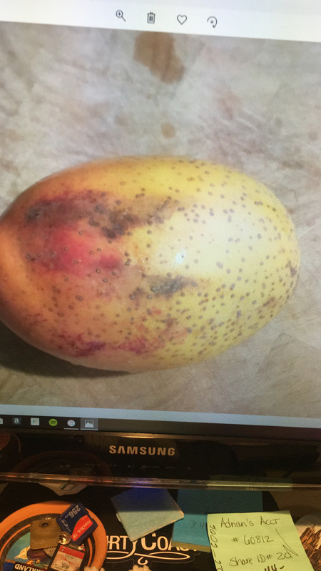 DD71F756-4E87-452E-B798-5FC674765AAD